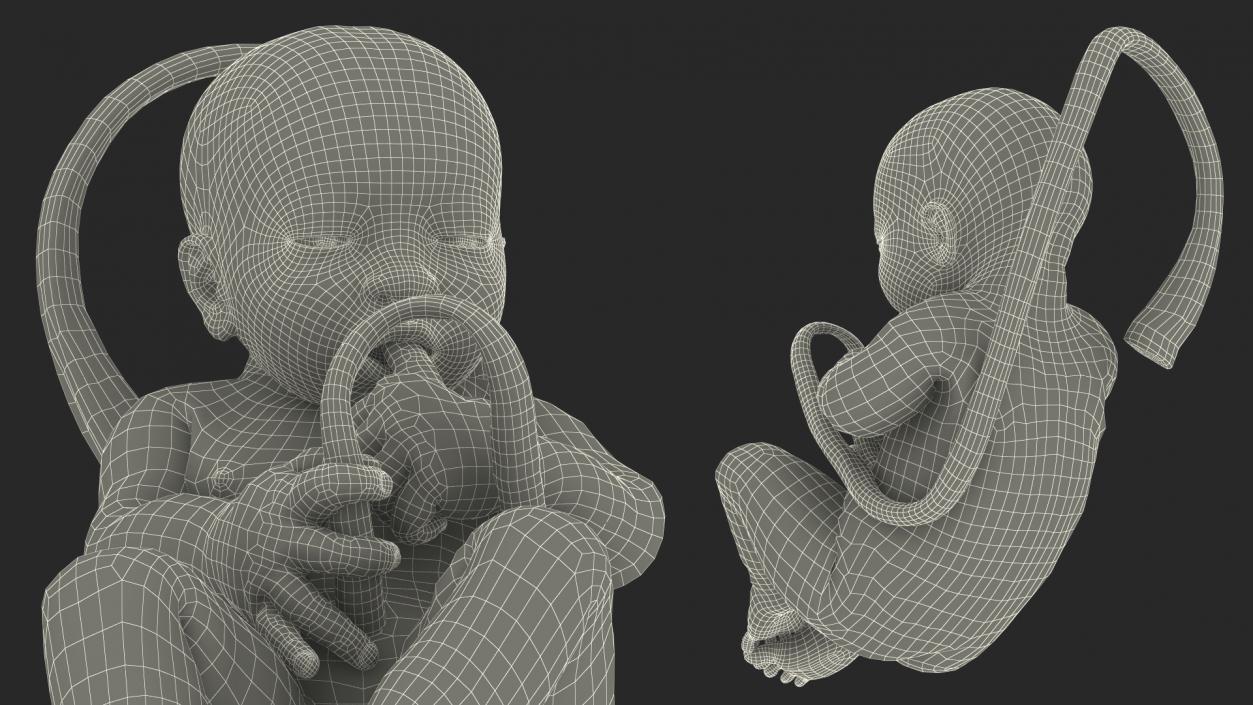 Human Incubator with Child Black 3D