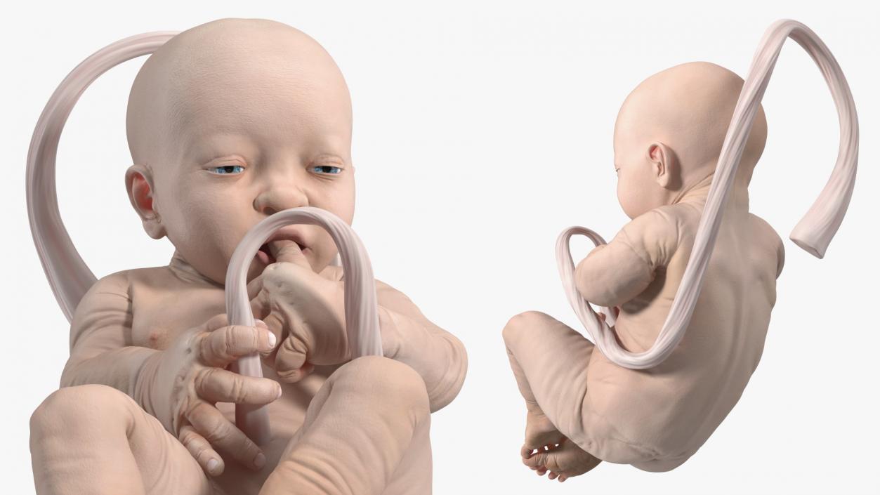 Human Incubator with Child Black 3D