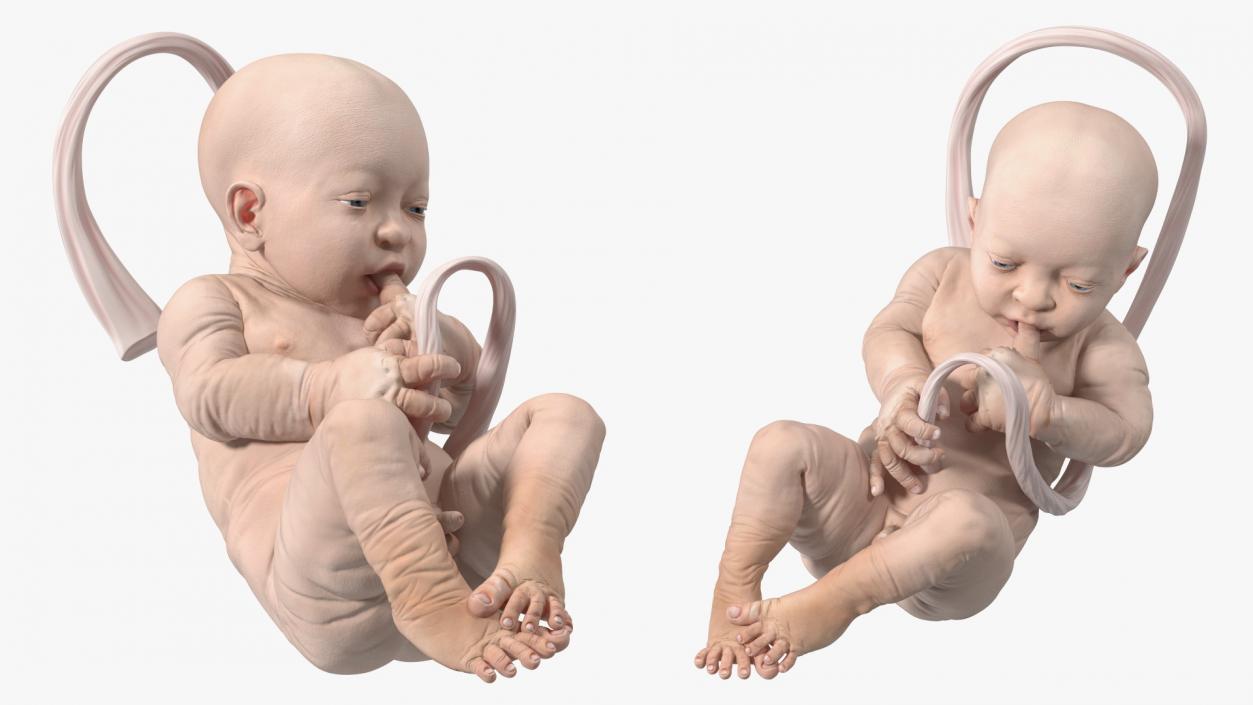 Human Incubator with Child Black 3D