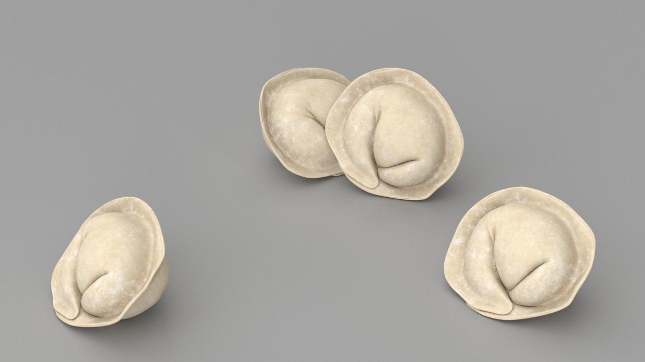 3D Raw Dumplings Collection 6