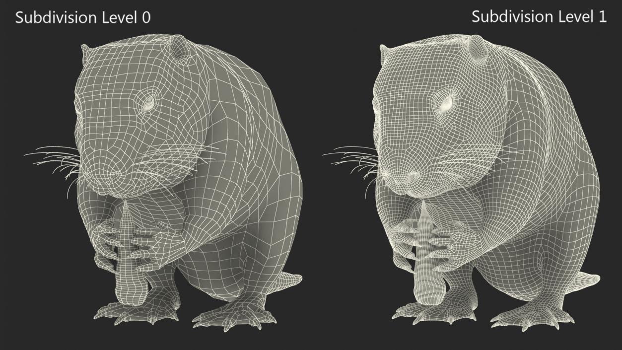 Nutria Eating Carrot Fur 3D model