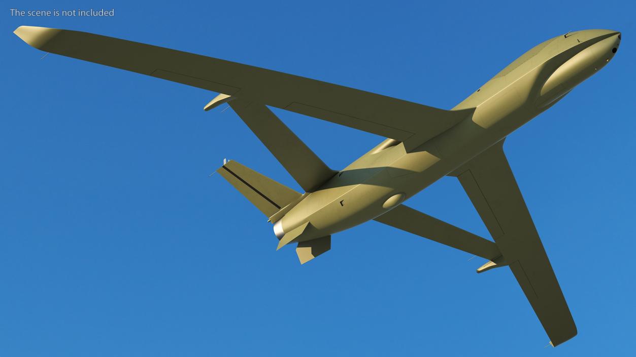 3D High Altitude Long Endurance Patrol UAV Flight