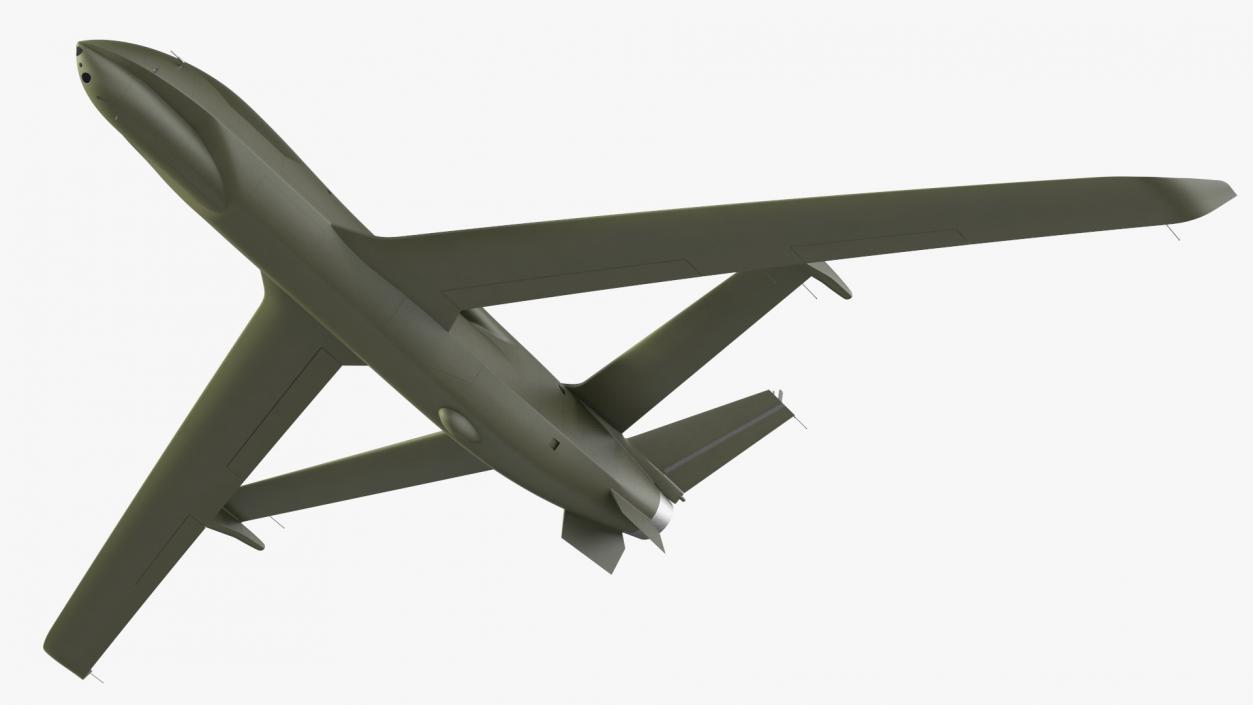 3D High Altitude Long Endurance Patrol UAV Flight