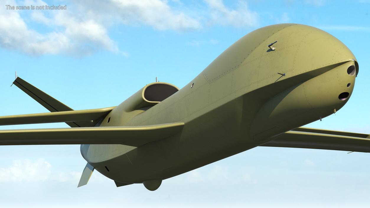 3D High Altitude Long Endurance Patrol UAV Flight