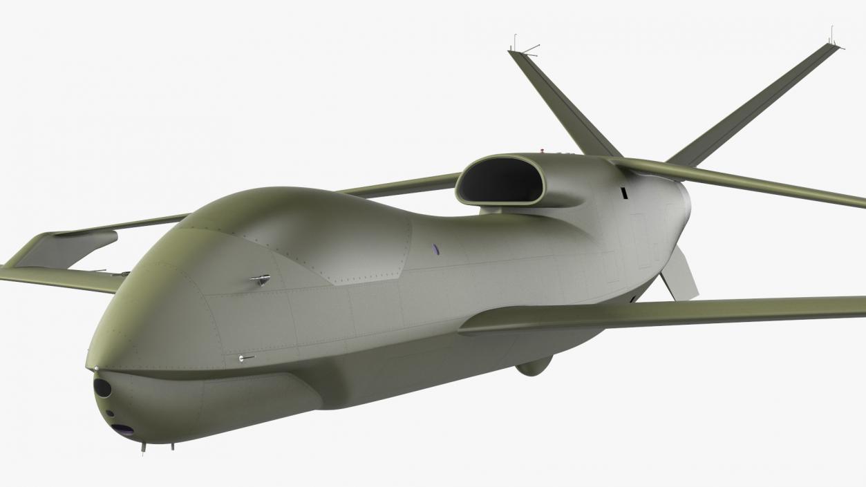 3D High Altitude Long Endurance Patrol UAV Flight