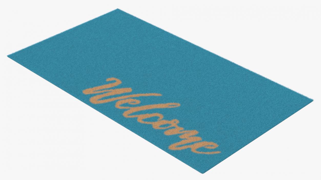 Dirt-Repellent Light Blue Door Mats Fur 3D model