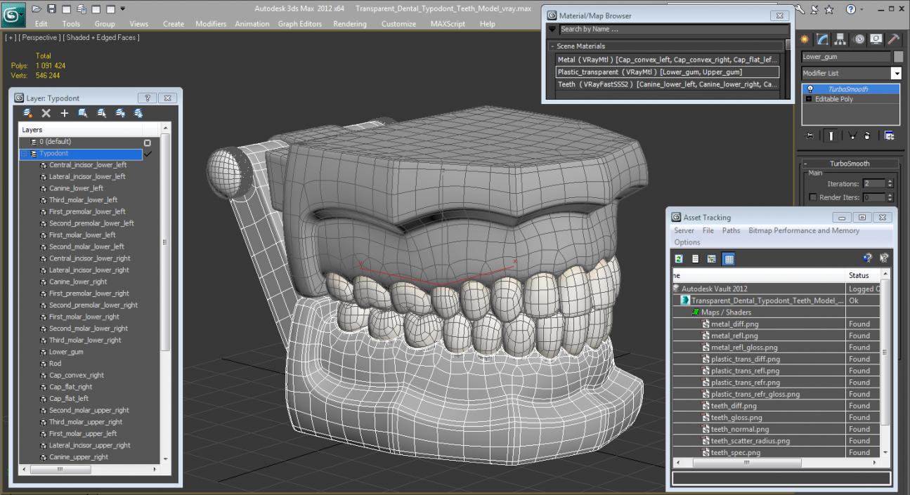 Transparent Dental Typodont Teeth Model 3D model