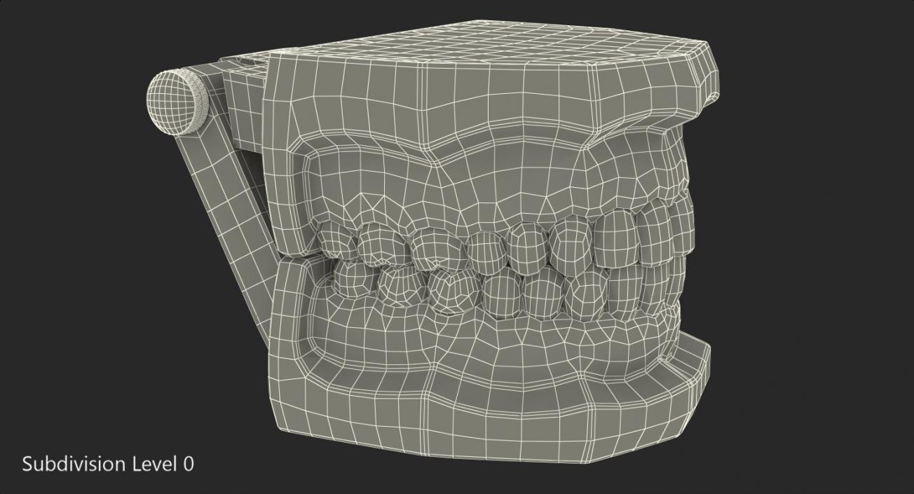 Transparent Dental Typodont Teeth Model 3D model