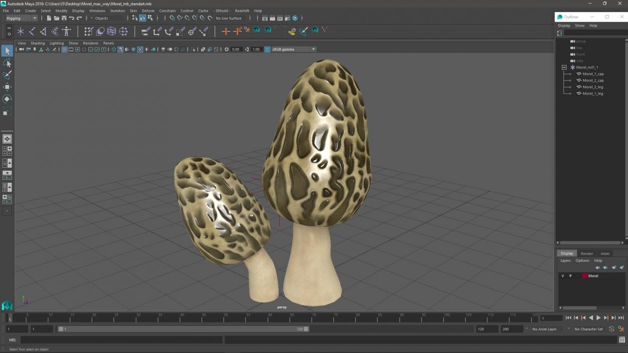 Morel 2 3D model