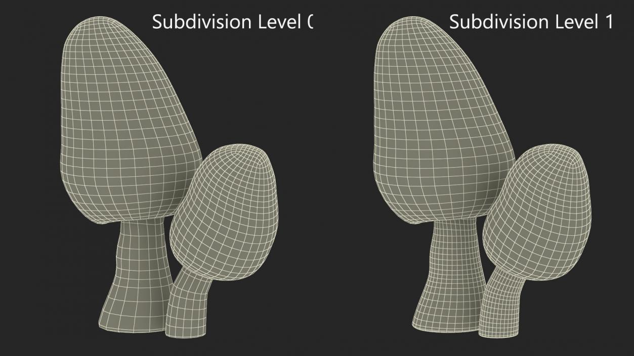 Morel 2 3D model