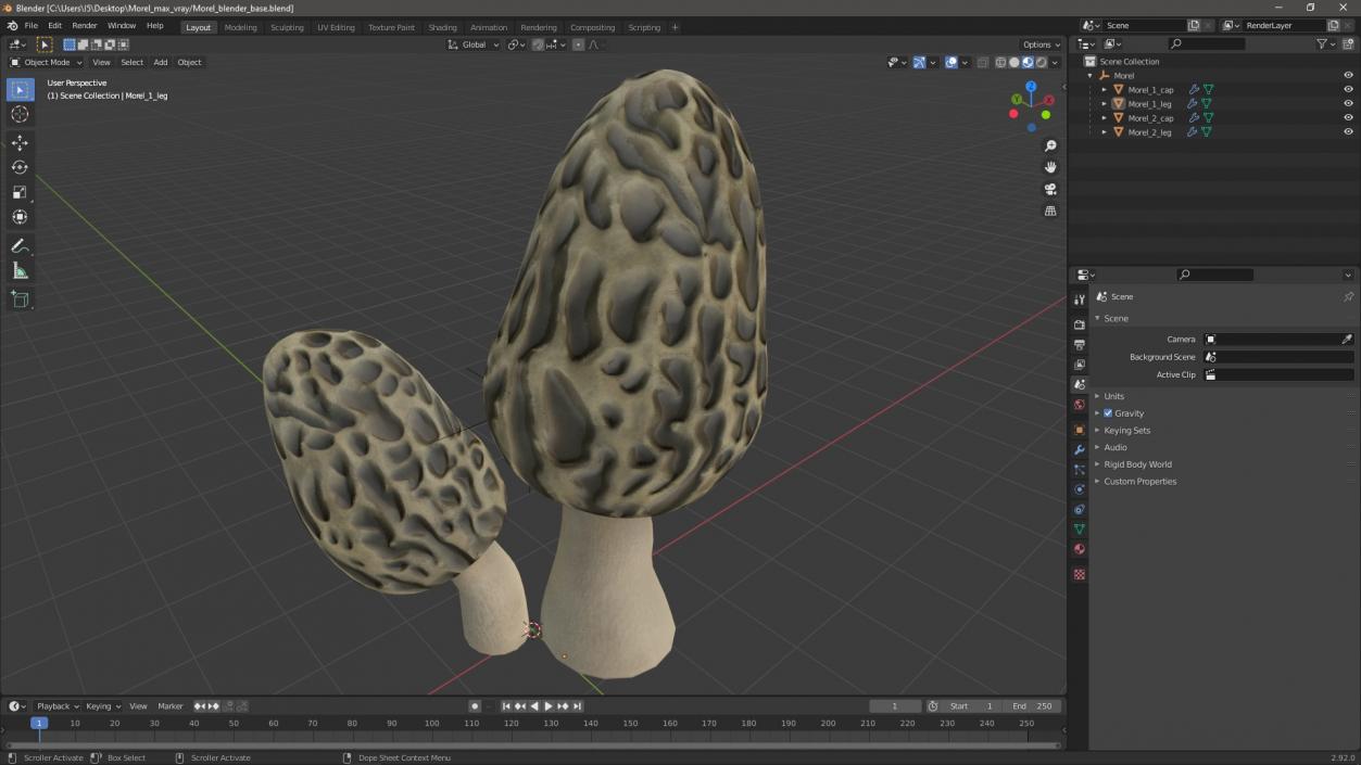 Morel 2 3D model