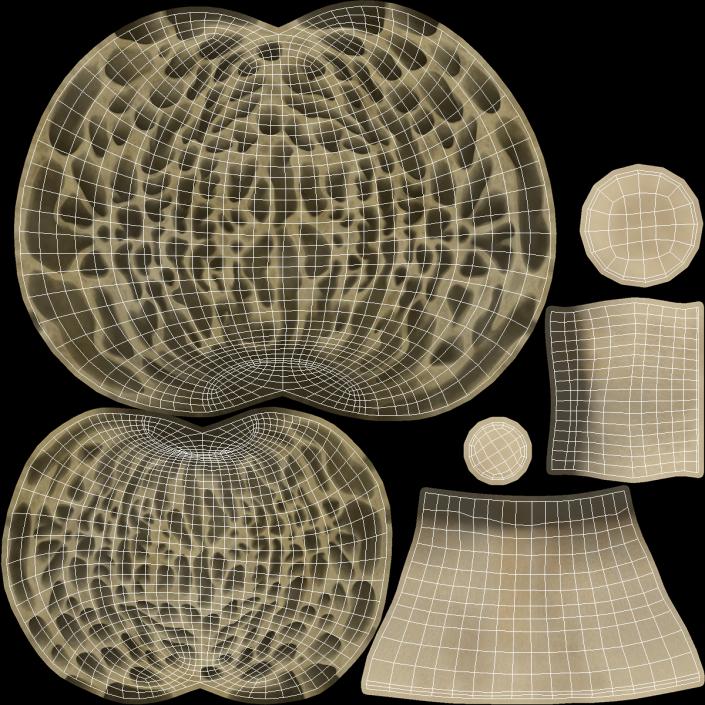 Morel 2 3D model