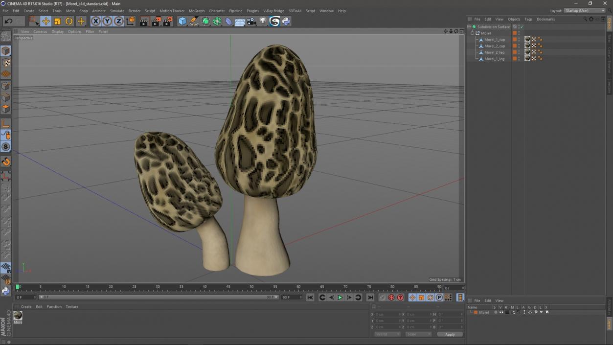 Morel 2 3D model