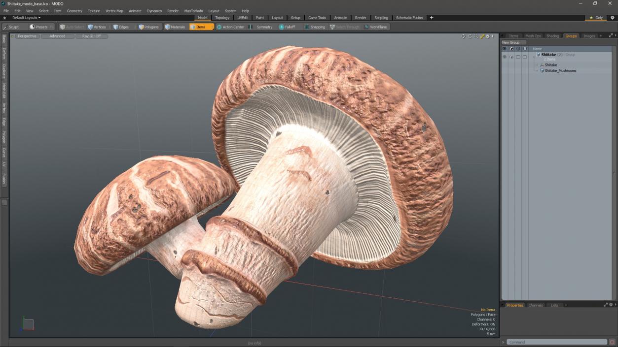 3D model Shiitake