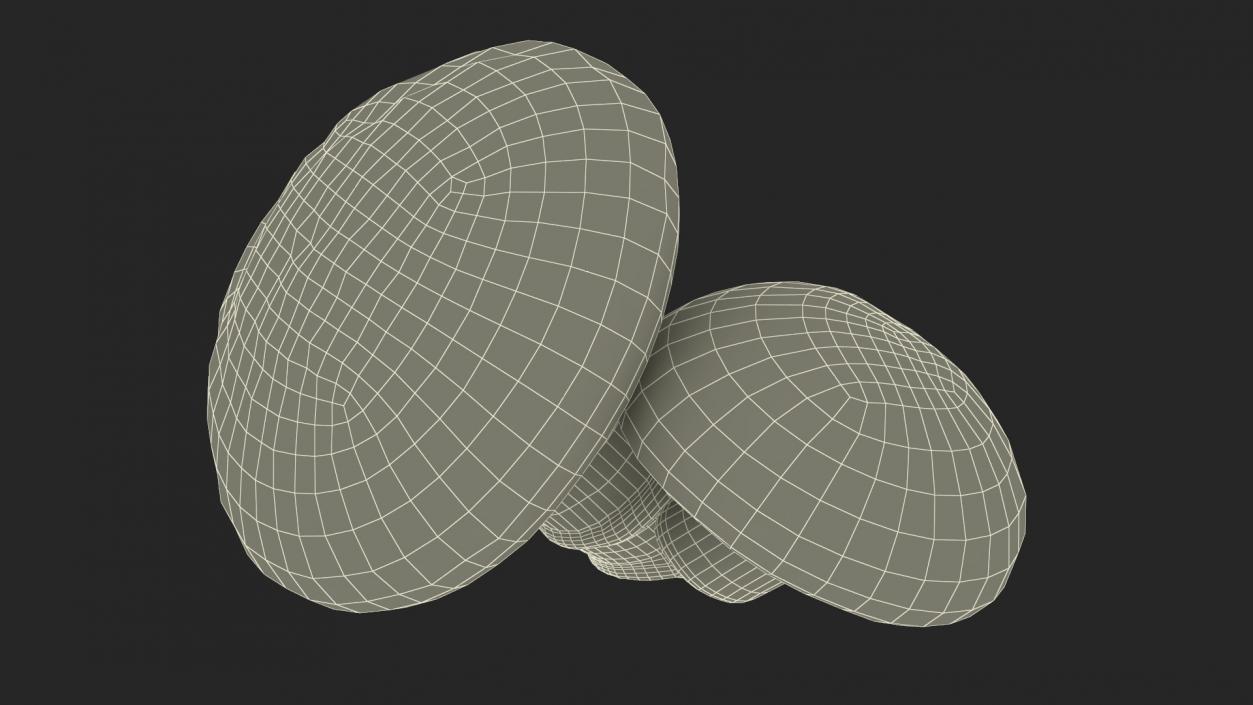 3D model Shiitake