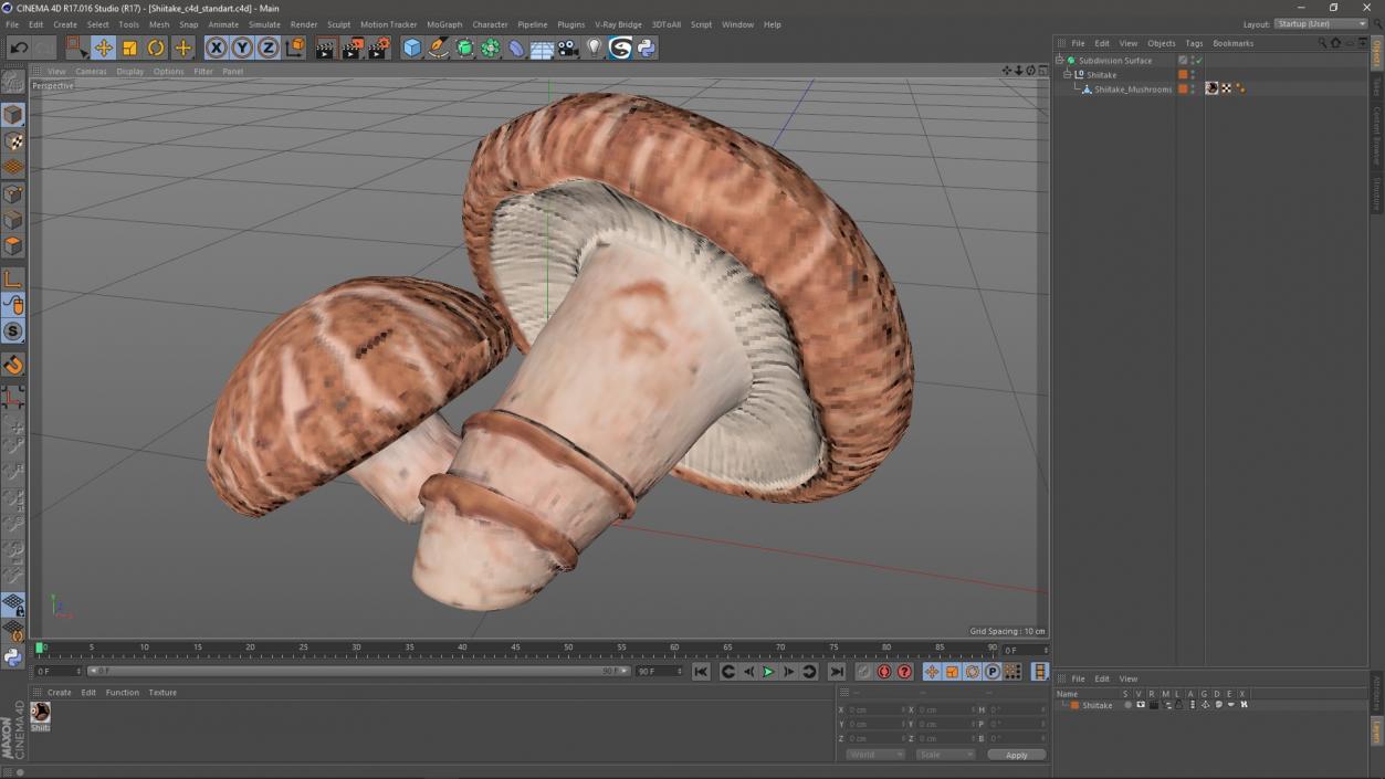 3D model Shiitake