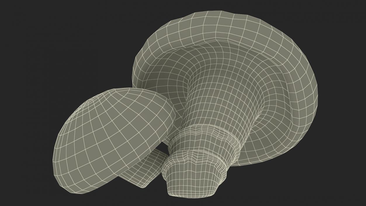 3D model Shiitake