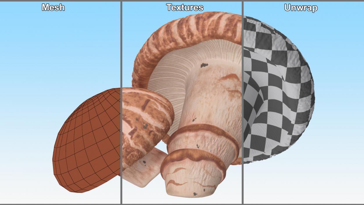 3D model Shiitake