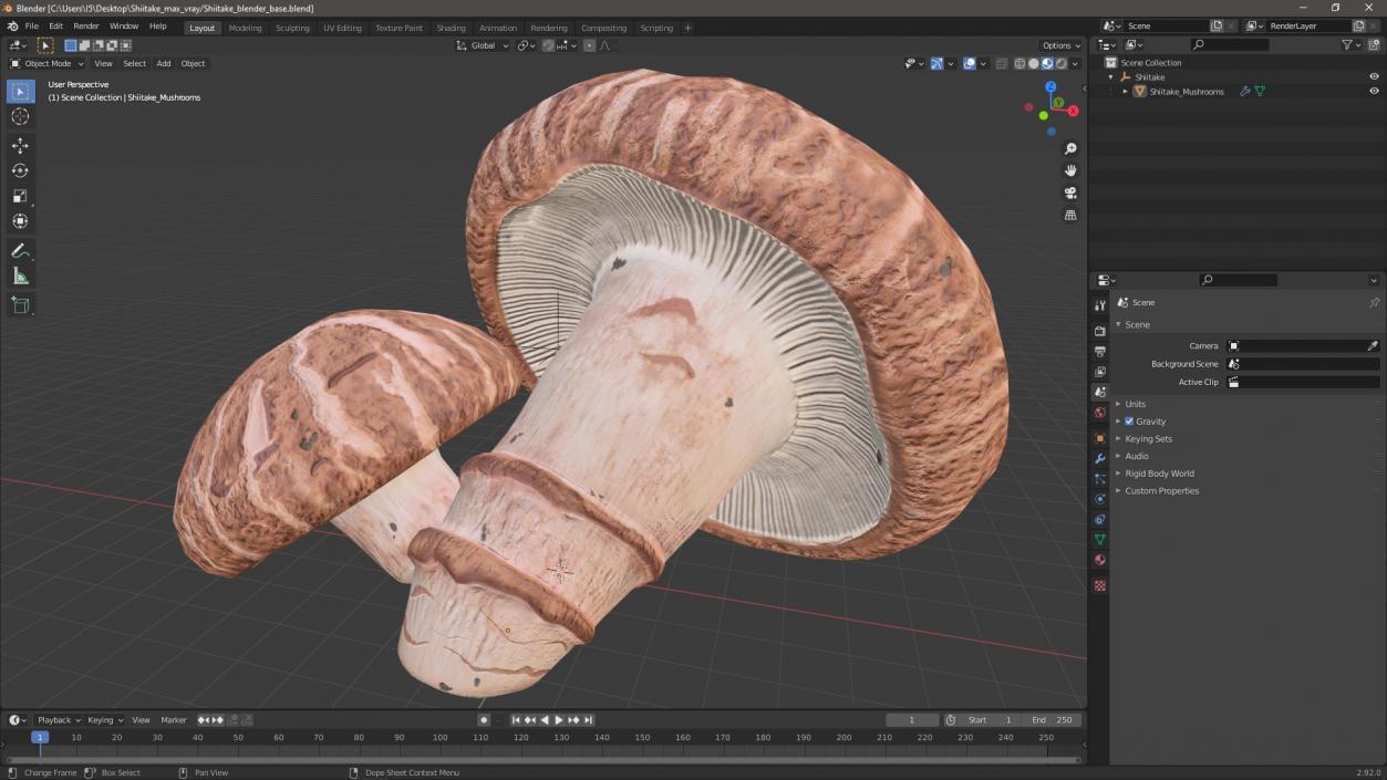 3D model Shiitake