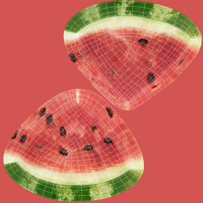 3D Watermelon Slice