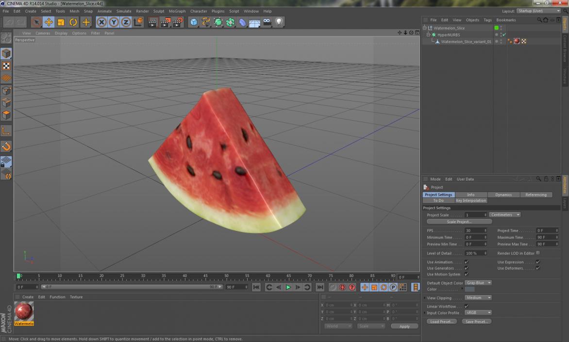 3D Watermelon Slice