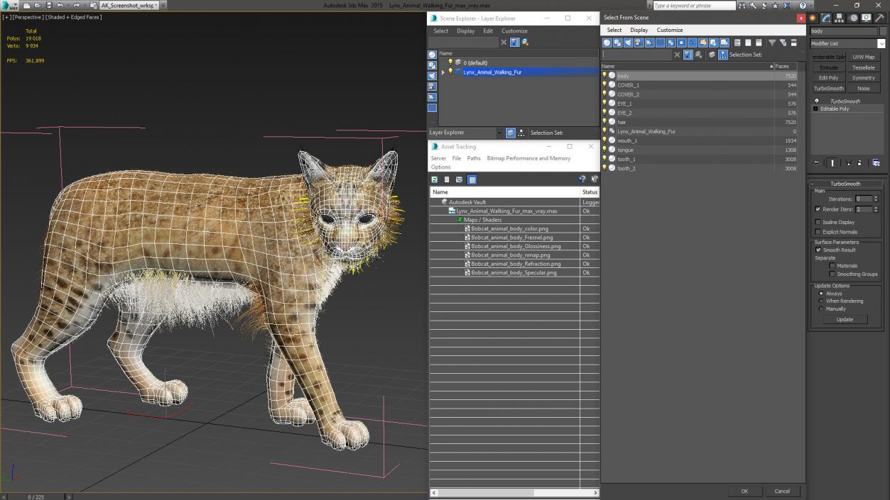 3D Lynx Animal Walking Fur model