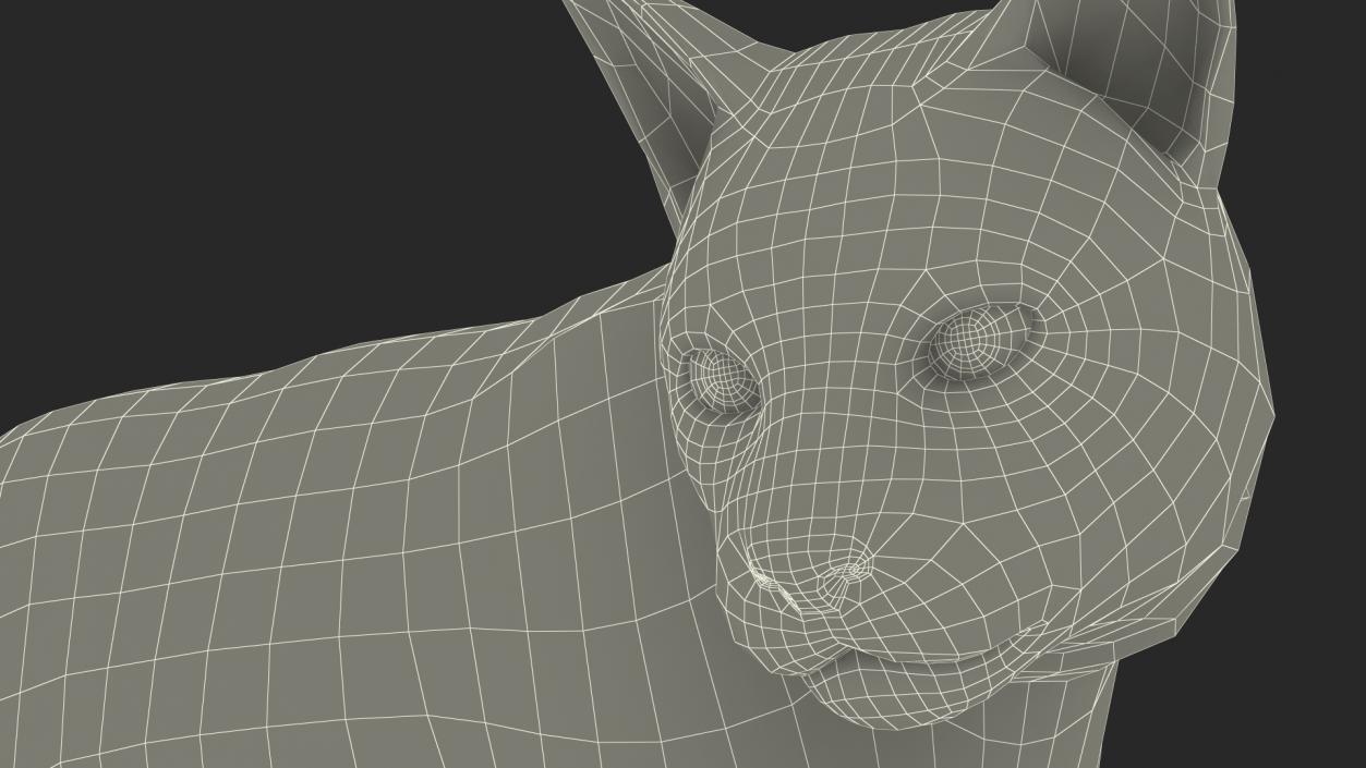 3D Lynx Animal Walking Fur model