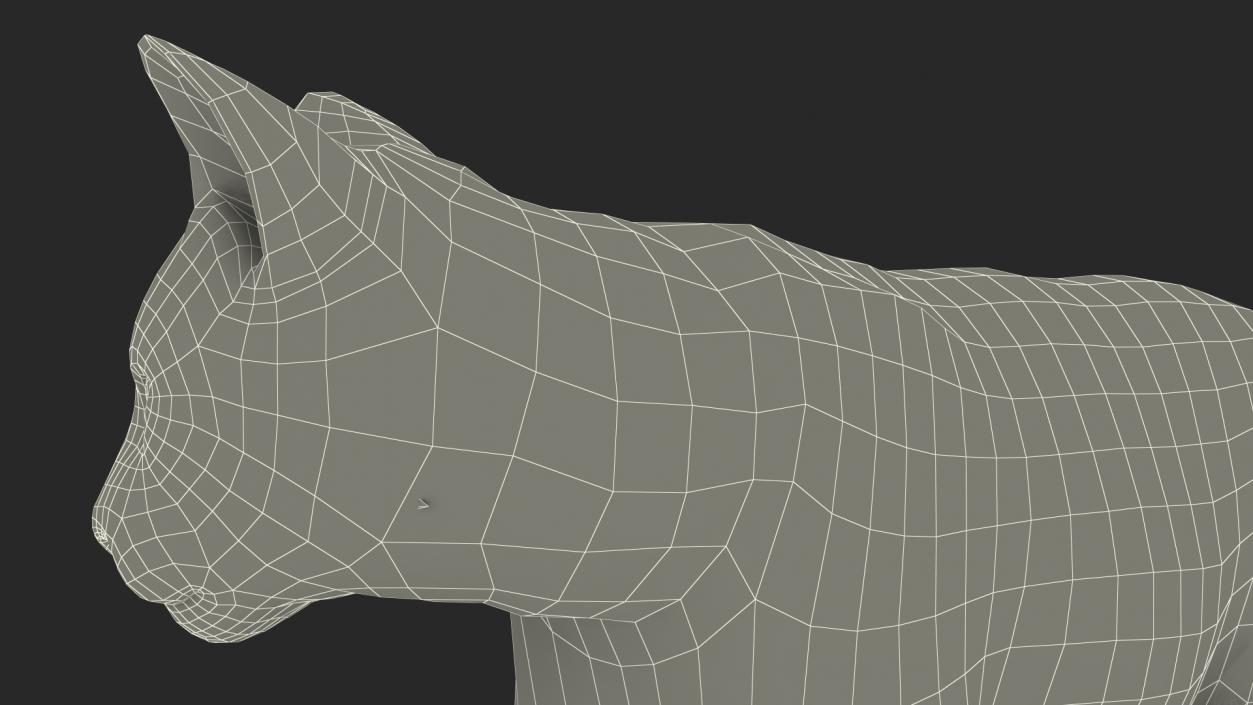 3D Lynx Animal Walking Fur model