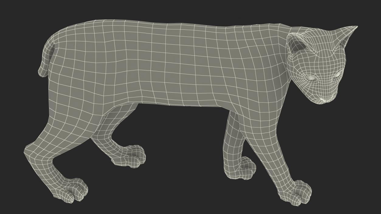 3D Lynx Animal Walking Fur model