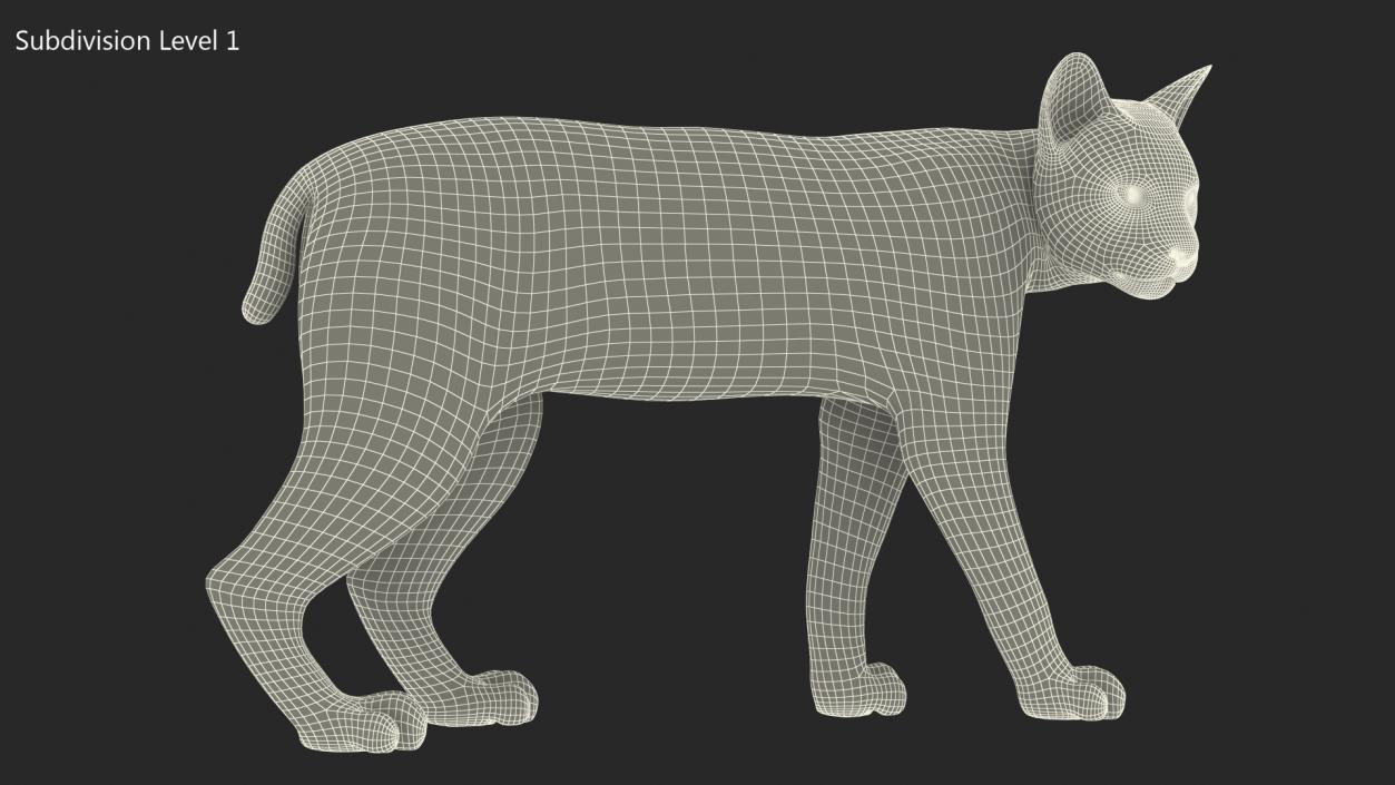 3D Lynx Animal Walking Fur model