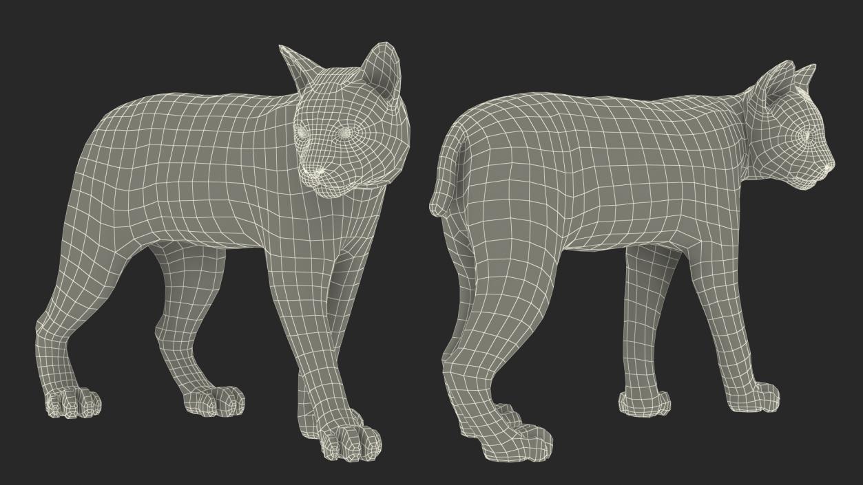 3D Lynx Animal Walking Fur model