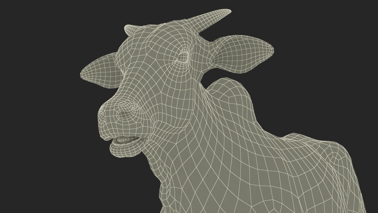 3D Nelore Cow Male Fur Rigged