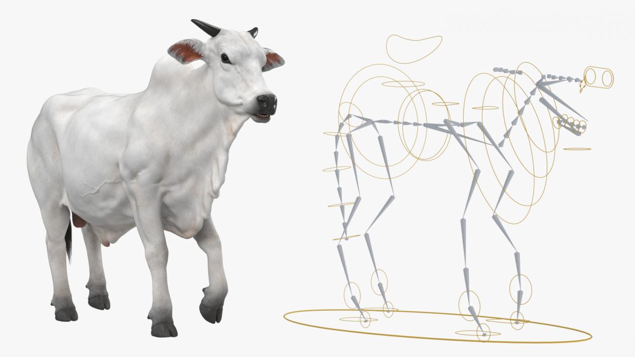 3D Nelore Cow Male Fur Rigged