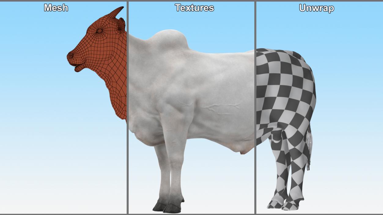 3D Nelore Cow Male Fur Rigged