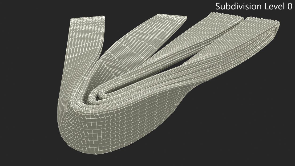 Jiu Jitsu White Belt Obi 3D model