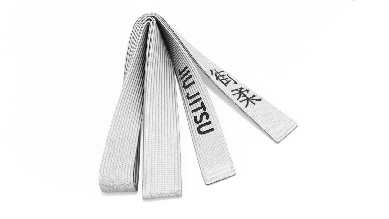 Jiu Jitsu White Belt Obi 3D model