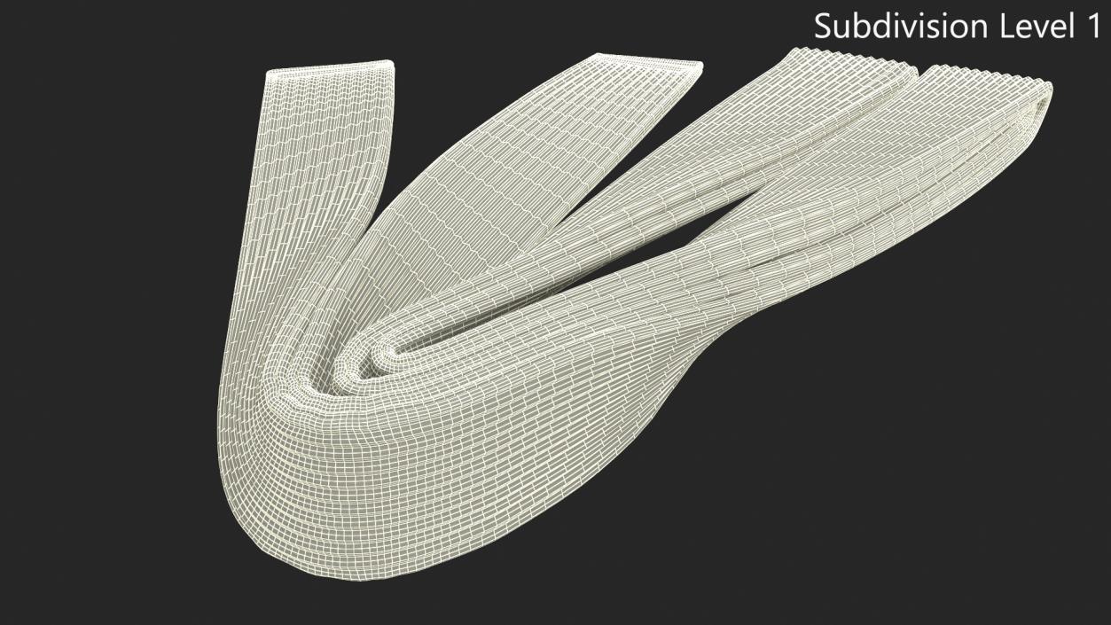 Jiu Jitsu White Belt Obi 3D model