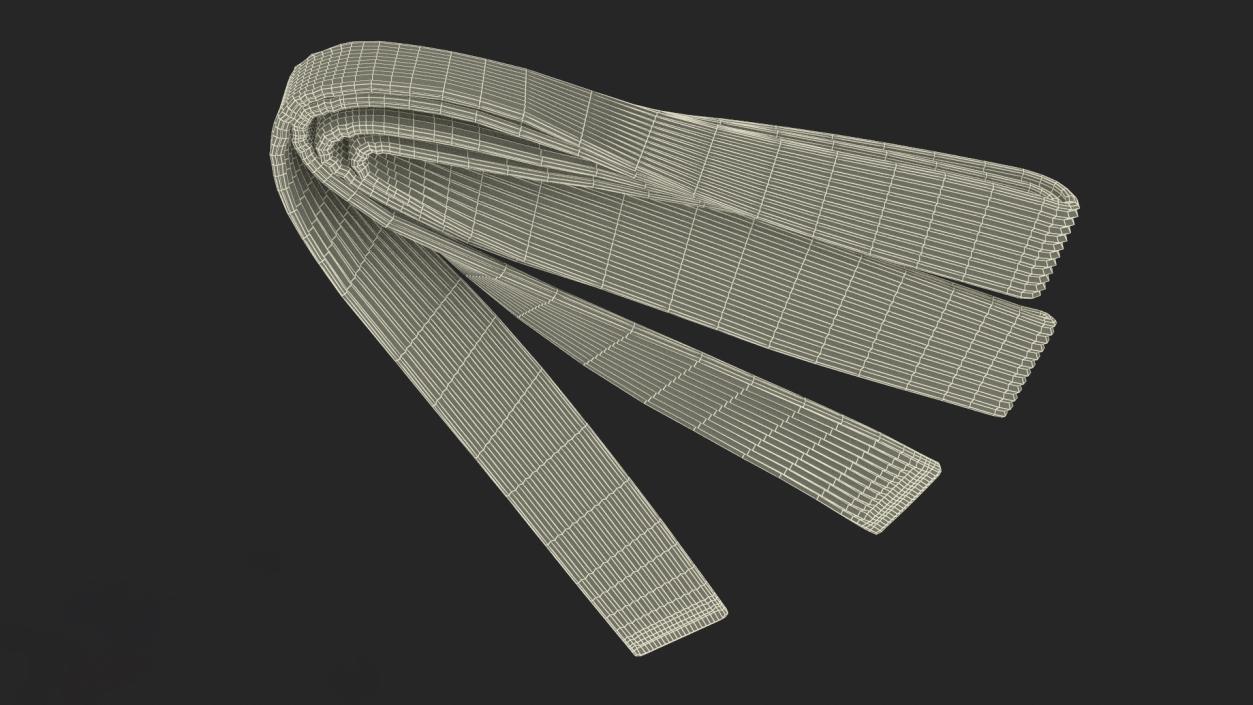 Jiu Jitsu White Belt Obi 3D model