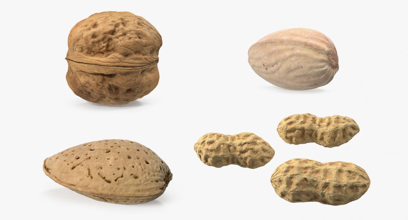 Nuts Collection 5 3D