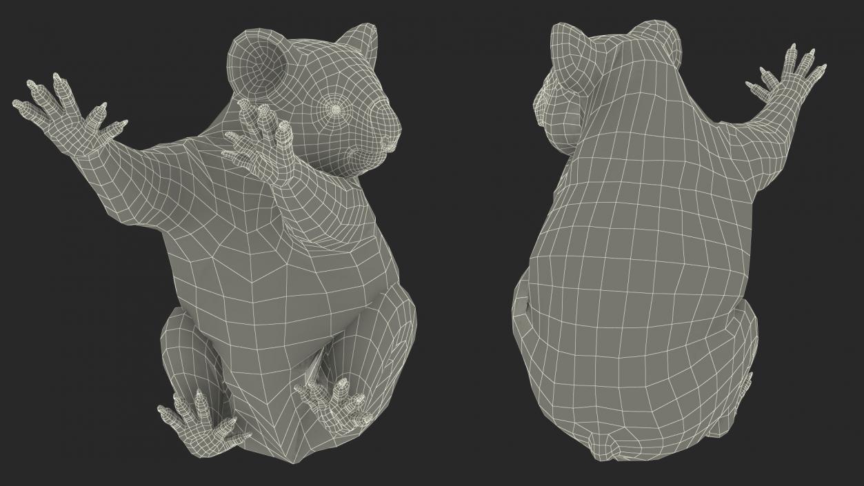 3D Koala Rigged Fur