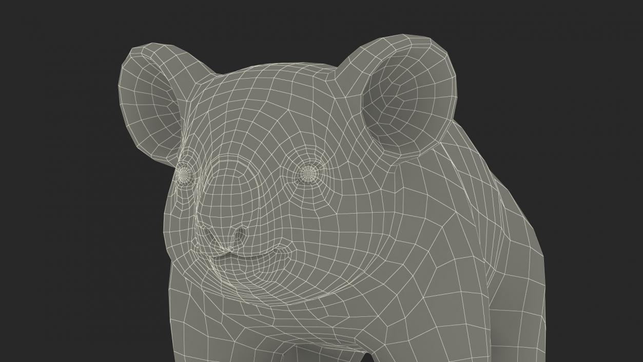 3D Koala Rigged Fur