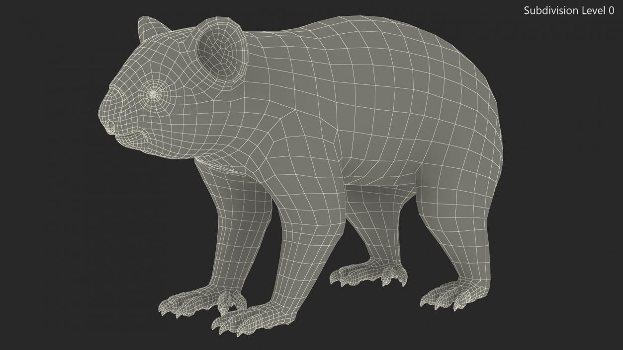 3D Koala Rigged Fur