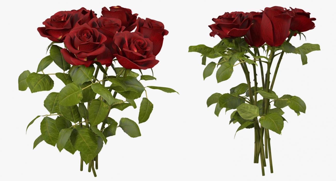 3D Bouquet of Roses