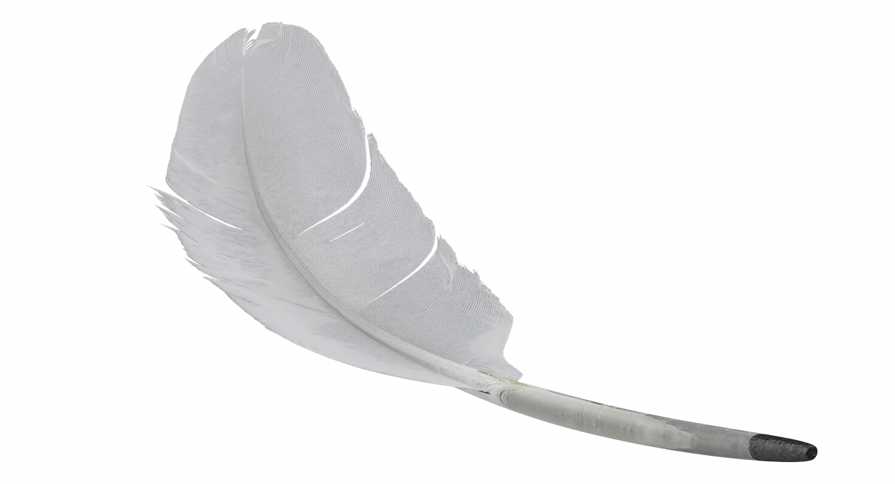 White Goose Feather 3D model