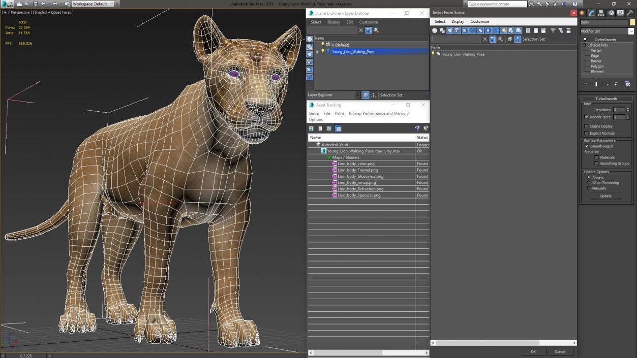 3D Young Lion Walking Pose model