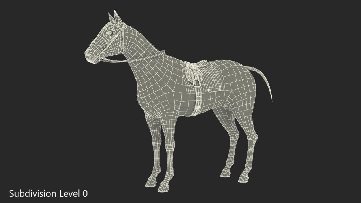 Racehorse White Fur 3D model