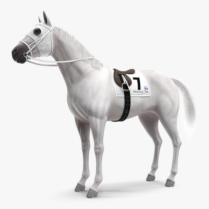 Racehorse White Fur 3D model