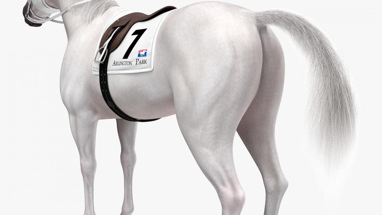 Racehorse White Fur 3D model