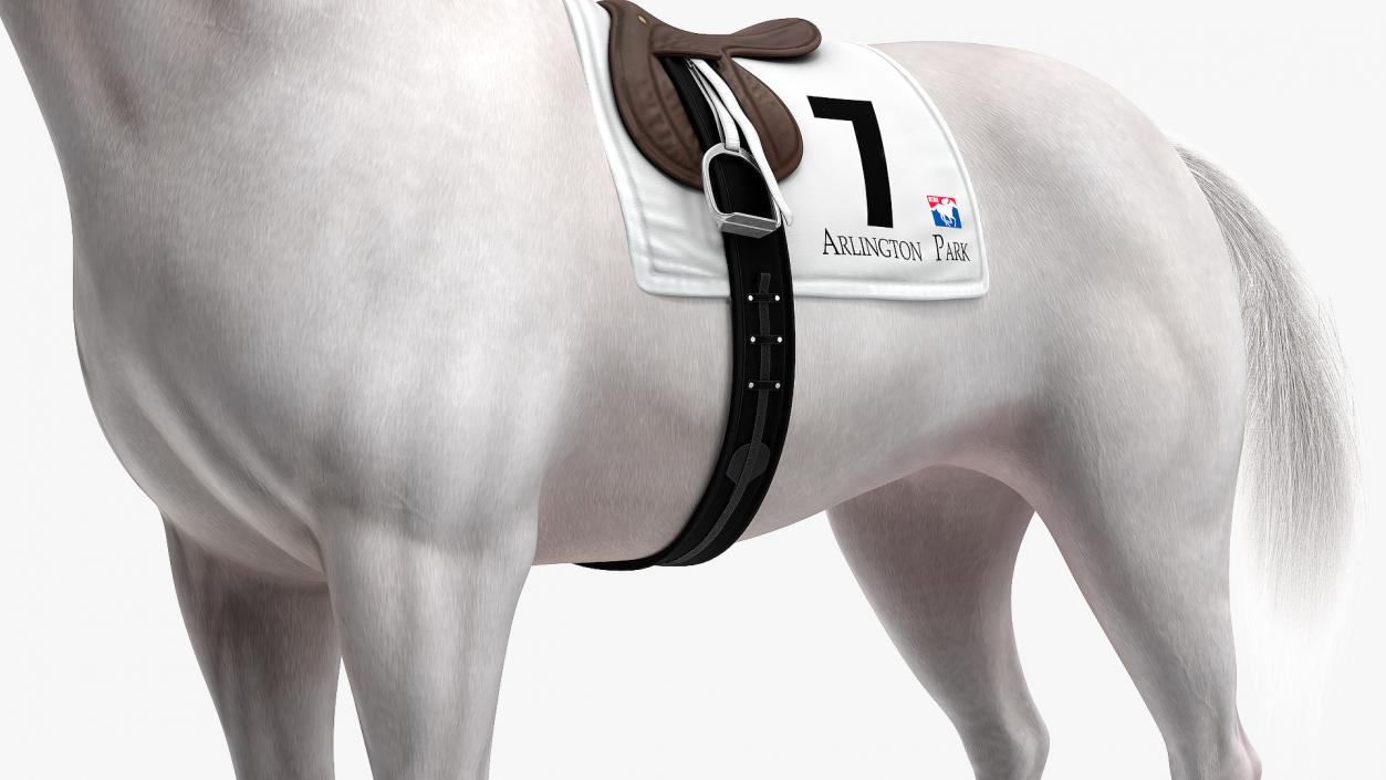 Racehorse White Fur 3D model