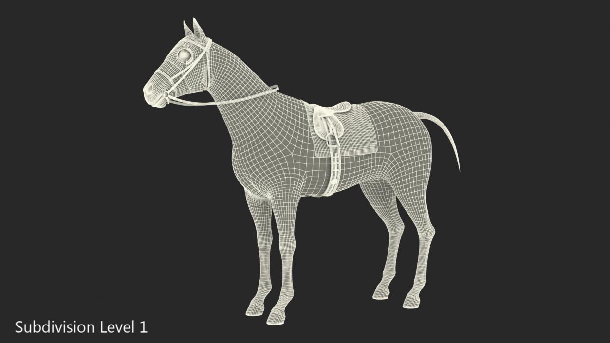 Racehorse White Fur 3D model